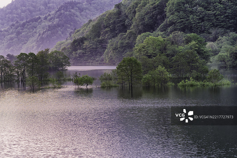 乌兰大湖秋本的晨景图片素材