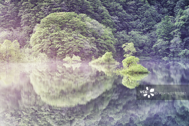 乌兰大湖秋本的晨景图片素材