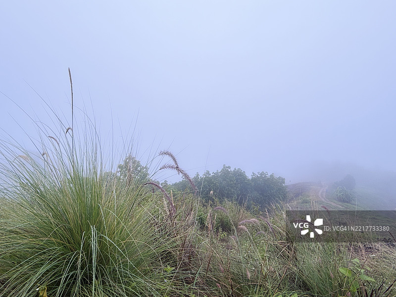 泰国清迈梅查姆山的雾气弥漫的高地风景图片素材