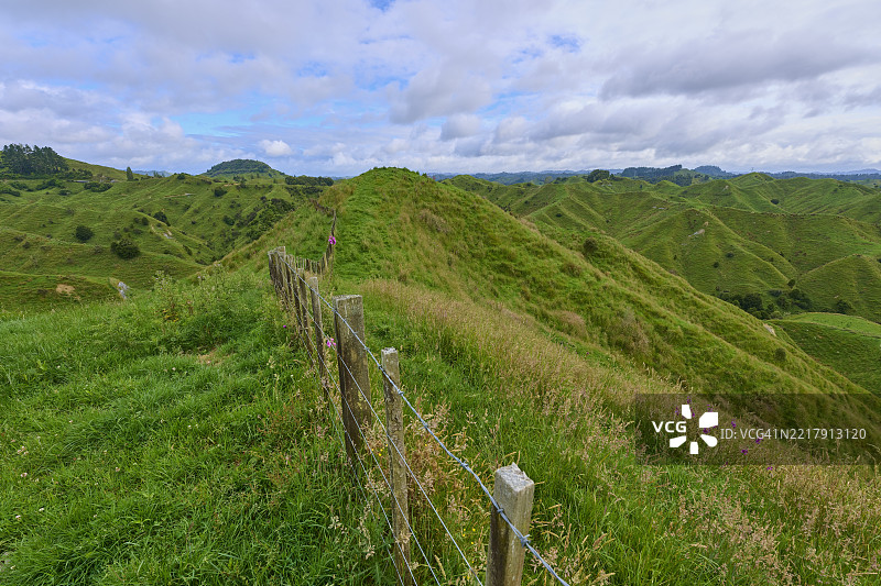 夏季的草甸风景，斯特拉斯莫尔鞍，遗忘世界公路，斯特拉特福德，塔拉纳基，新西兰北岛图片素材