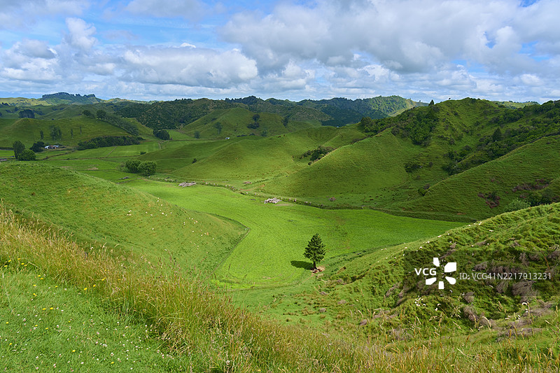 夏季的草甸风景，斯特拉斯莫尔鞍，遗忘世界公路，斯特拉特福德，塔拉纳基，新西兰北岛图片素材