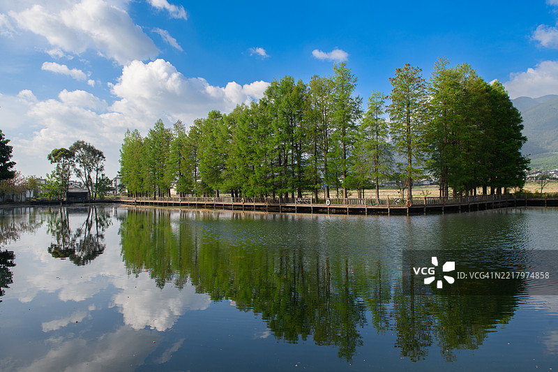 村庄池塘，树木倒映在水面上图片素材