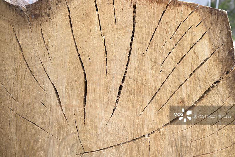 切割木头特写，展示木纹和裂缝图片素材