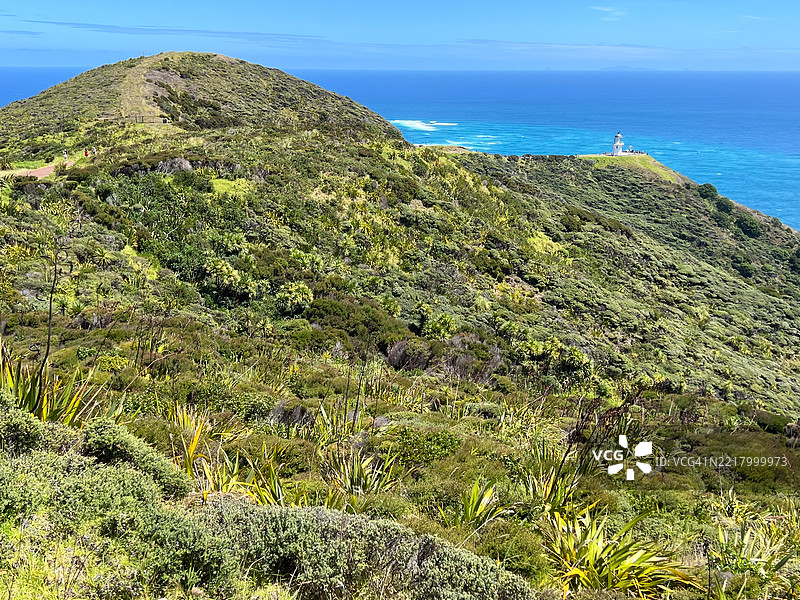 新西兰北地的雷恩加角图片素材
