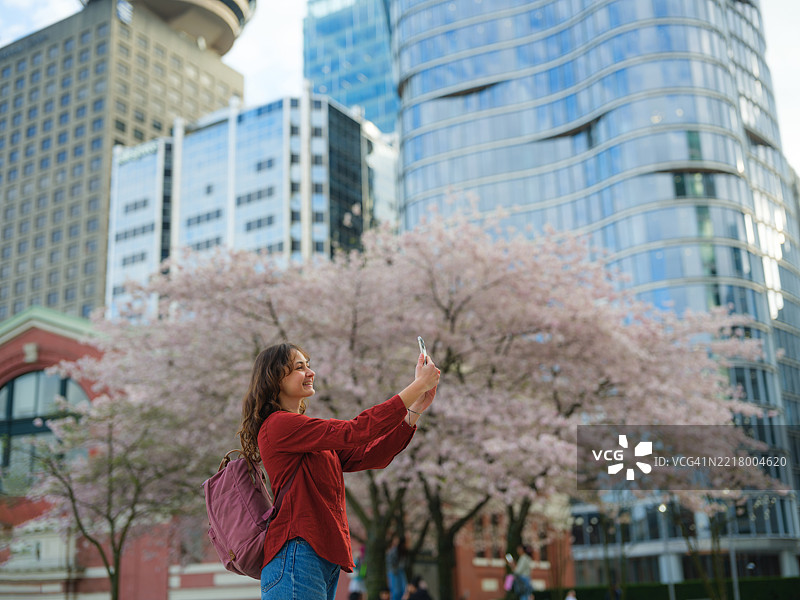 在加拿大温哥华，女性用智能手机拍摄樱花。图片素材