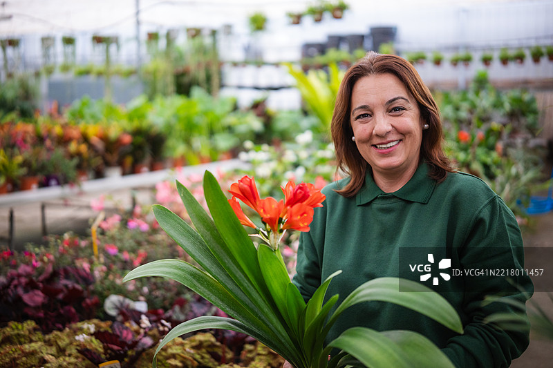 在温室工作的女性微笑着手持朱顶红植物对着镜头。图片素材
