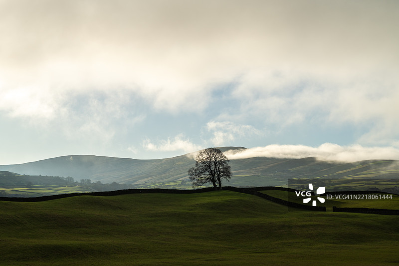 约克郡山谷的温斯利代尔图片素材