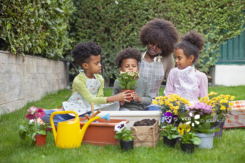 春天的日子里，快乐的家庭在后院园艺图片素材
