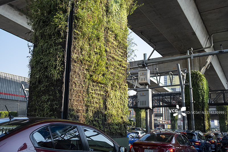 墨西哥城环城高速公路二层的花园柱子图片素材