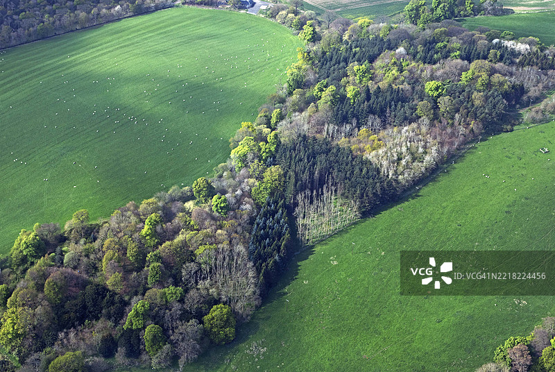 苏格兰农田中的森林鸟瞰图图片素材