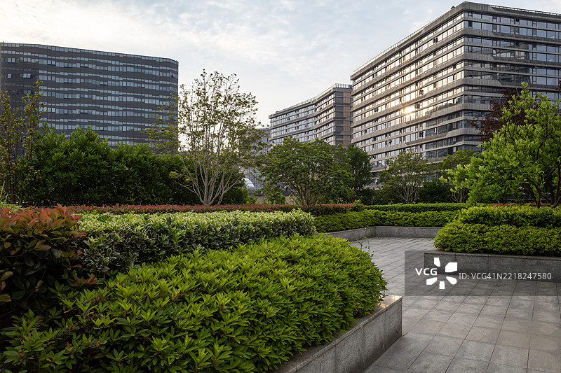 城市花园广场的黄昏景色图片素材