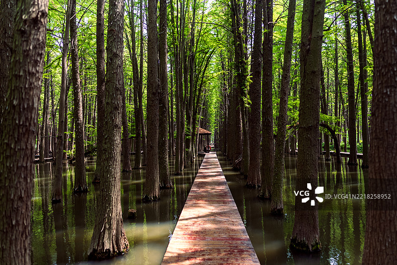 中国江南水乡图片素材