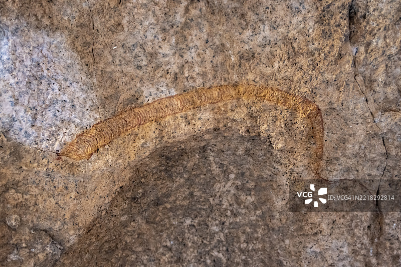 纳米比亚斯皮茨科普的古代石画和岩石画图片素材