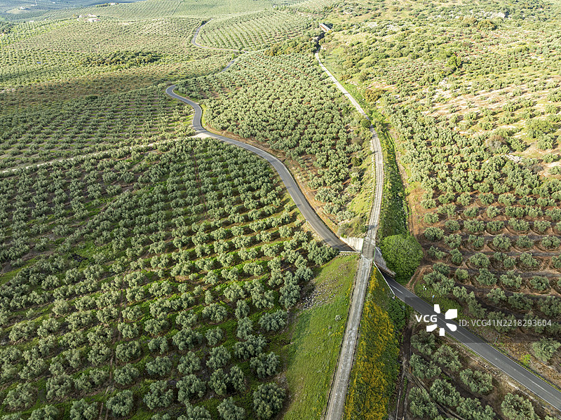 绿色通道自行车道，旧铁路轨道穿过橄榄田，靠近安达卢西亚的卡布拉村，西班牙，欧洲图片素材