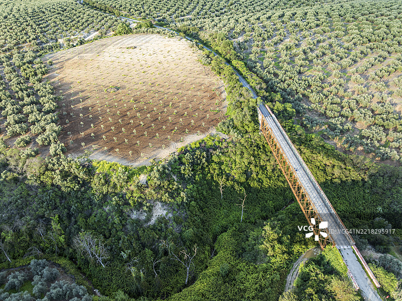 老铁路改建的自行车道Via Verde Del Aceite，跨越桥梁，周围是橄榄田，靠近村庄Cabra，鸟瞰图，西班牙安达卢西亚，欧洲图片素材
