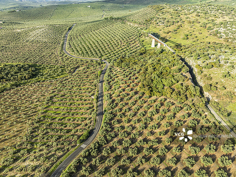 自行车道Via Verde Del Aceite（右侧），旧铁路轨道穿过橄榄田并跨越一座桥，靠近安达卢西亚的卡布拉村，西班牙，欧洲图片素材