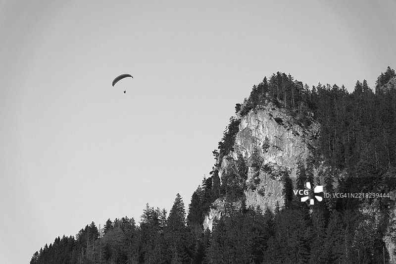 德国清澈天空下树木剪影的低角度视图图片素材