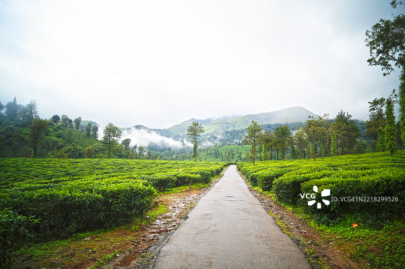 树木环绕下的空旷道路与天空相映图片素材