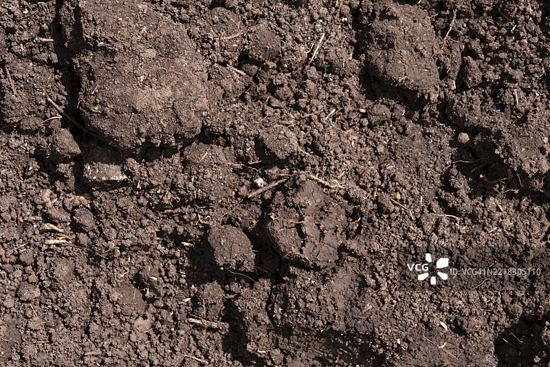翻耕的肥沃土壤，植物种植的床，纹理背景图片素材