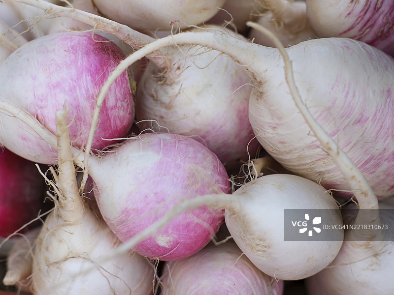 萝卜收获特写图片素材