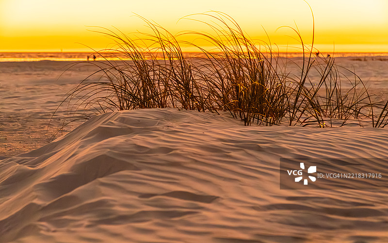 佛罗里达州萨拉索塔日落时的海滩美景图片素材