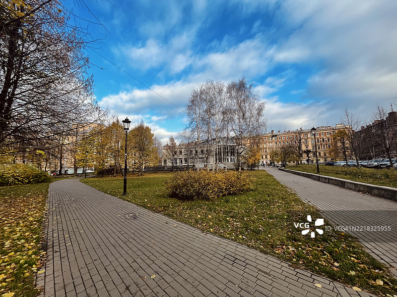 秋天公园里的树木图片素材