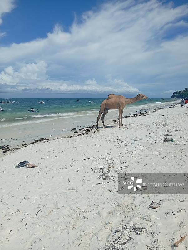 肯尼亚蒙巴萨县的海滩美景与天空相映成趣图片素材
