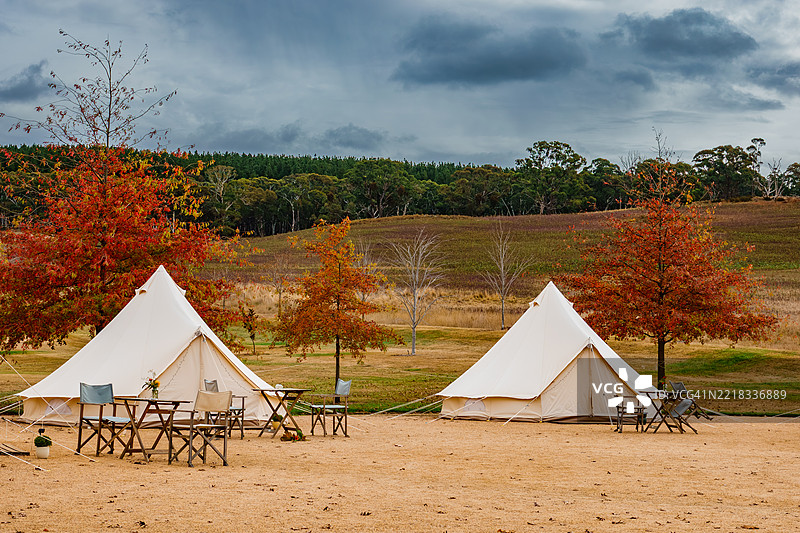 田野上的树木与天空相映成趣图片素材