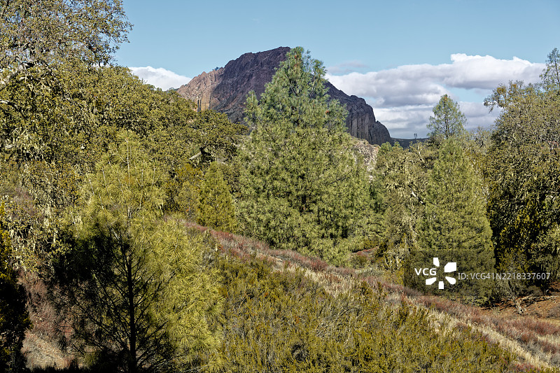 常青树附近的顶峰地貌，顶峰国家公园，美国图片素材