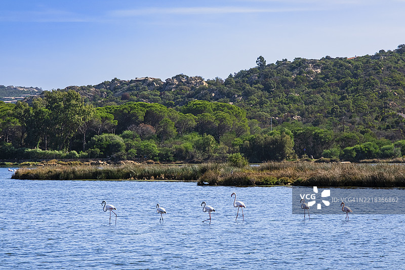 加卢拉的波尔图塔韦尔纳池塘 - 撒丁岛图片素材