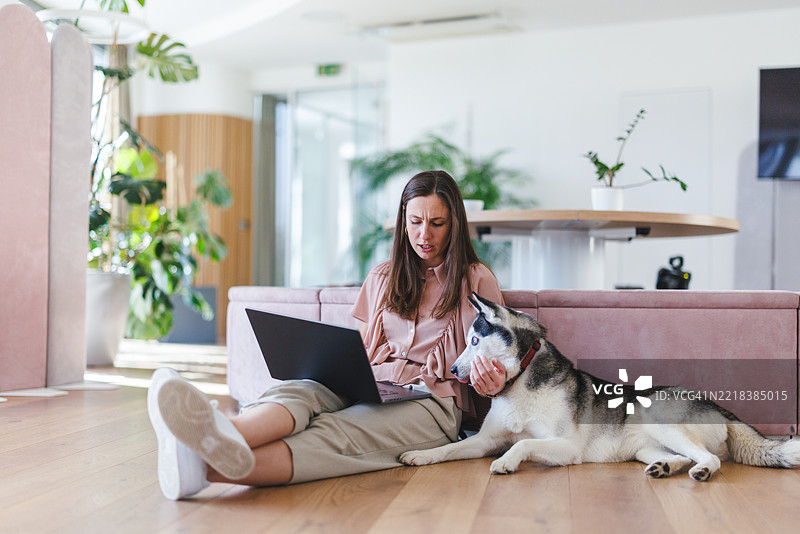 年轻女商人在办公室地板上坐着，旁边有一只西伯利亚哈士奇，正在用笔记本电脑工作。图片素材