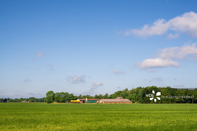 荷兰的乡村农田风光图片素材