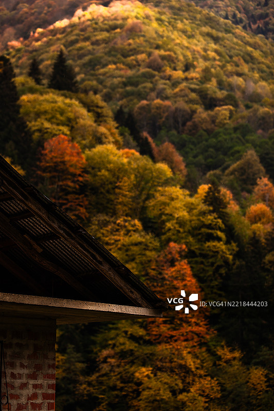 秋天的树木与山间小屋 - 里泽省图片素材
