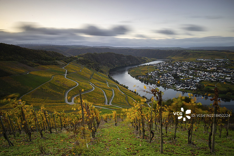 秋天美丽的葡萄园，黄叶，葡萄园中间的壮丽日出。小径穿过阳光明媚的摩泽尔谷陡坡，靠近皮斯波特。图片素材