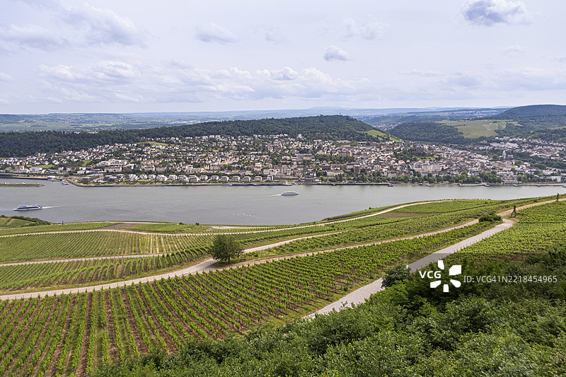 从吕德斯海姆镇上方的葡萄园可以俯瞰到莱茵河对岸的宾根镇,吕德斯海姆·阿姆·莱茵,莱茵兰-普法尔茨州,德国,欧洲图片素材