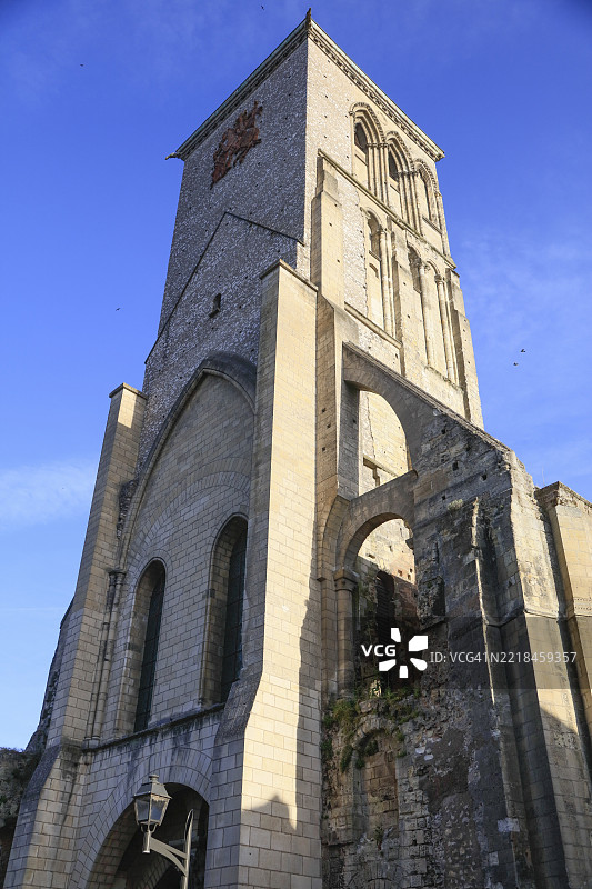 查尔曼大教堂，曾经的圣马丁哥特式大教堂遗址，法国，卢瓦尔河中心大区，安德尔-卢瓦尔省图片素材