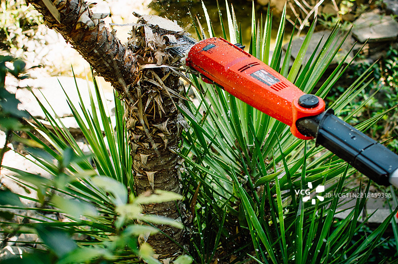 一个男人的手正在用电锯锯一棵棕榈树。图片素材