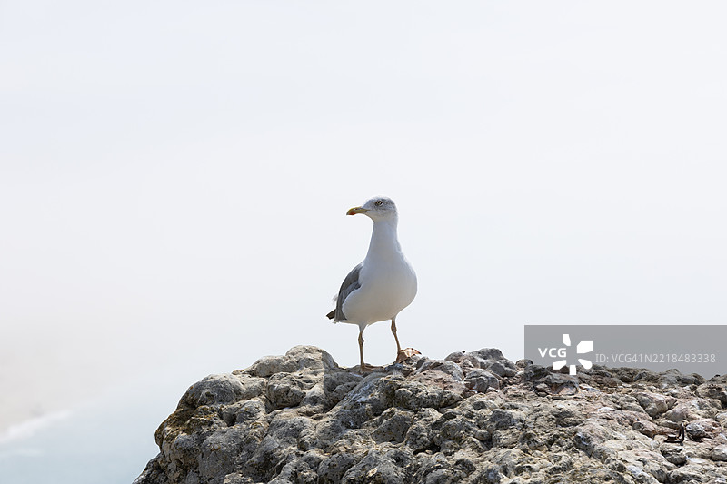葡萄牙纳扎雷的海滨村庄图片素材