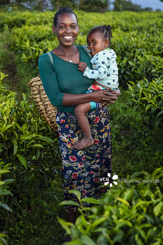 年轻的非洲母亲抱着婴儿穿越茶园，埃塞俄比亚中部，非洲图片素材