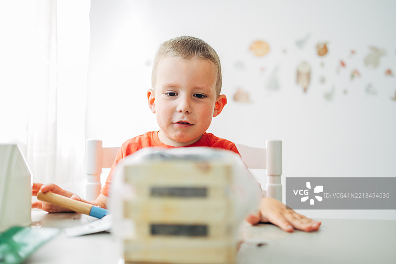 男孩在窗台上看着装有草莓幼苗的容器，准备在家中种植花园。图片素材