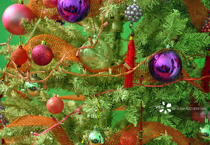 一棵生机勃勃的圣诞树特写。图片素材