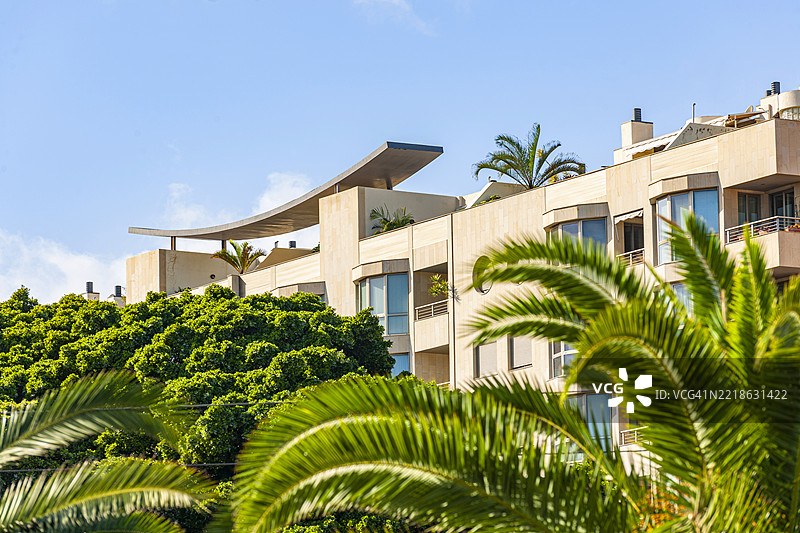 加那利群岛，圣克鲁斯-德特内里费图片素材