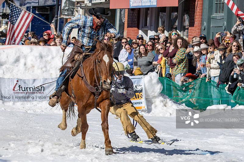 滑雪拉犬 - 美国科罗拉多州利德维尔 2025年3月1日图片素材