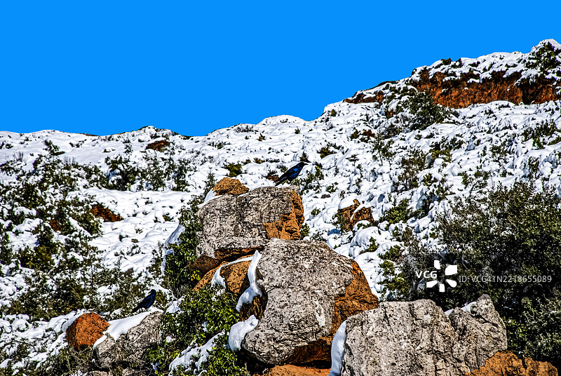 查温清澈蓝天下雪山的低角度视图图片素材