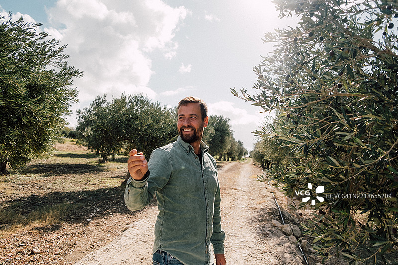 农民微笑着在蓝天下的橄榄树间手持橄榄图片素材