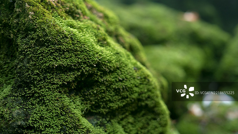 美丽自然山脉下瀑布旁的岩石上长满绿色苔藓图片素材