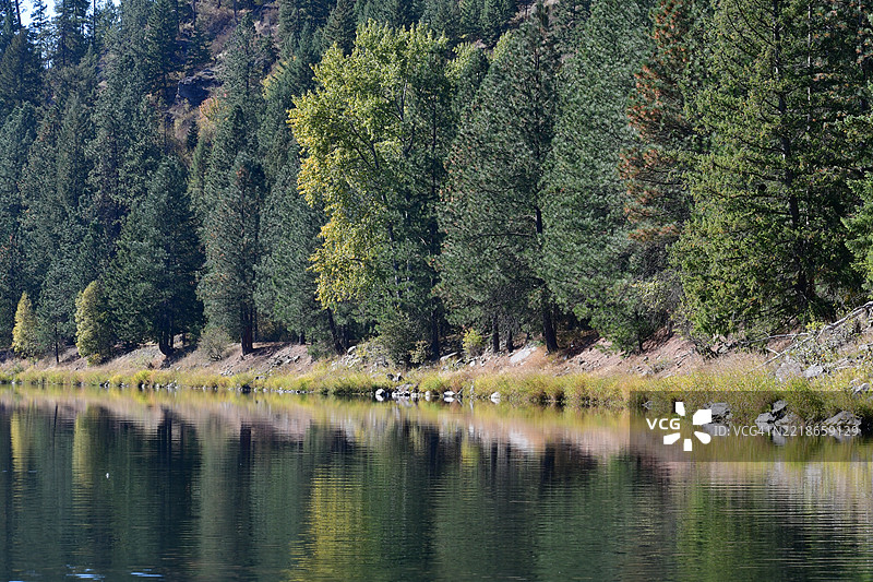 在美国爱达荷州科达伦河边的蜱虫森林景观，经过一个下午的飞钓。图片素材