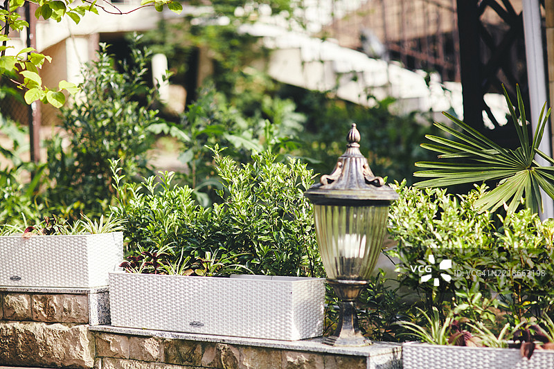 装饰性花园花盆和复古街灯在郁郁葱葱的户外空间中图片素材