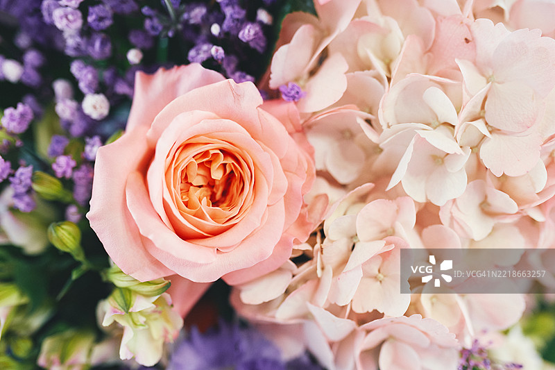 精致的粉色玫瑰和绣球花特写花卉排列图片素材