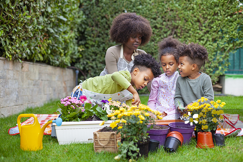 春天的日子里，快乐的家庭在后院园艺图片素材